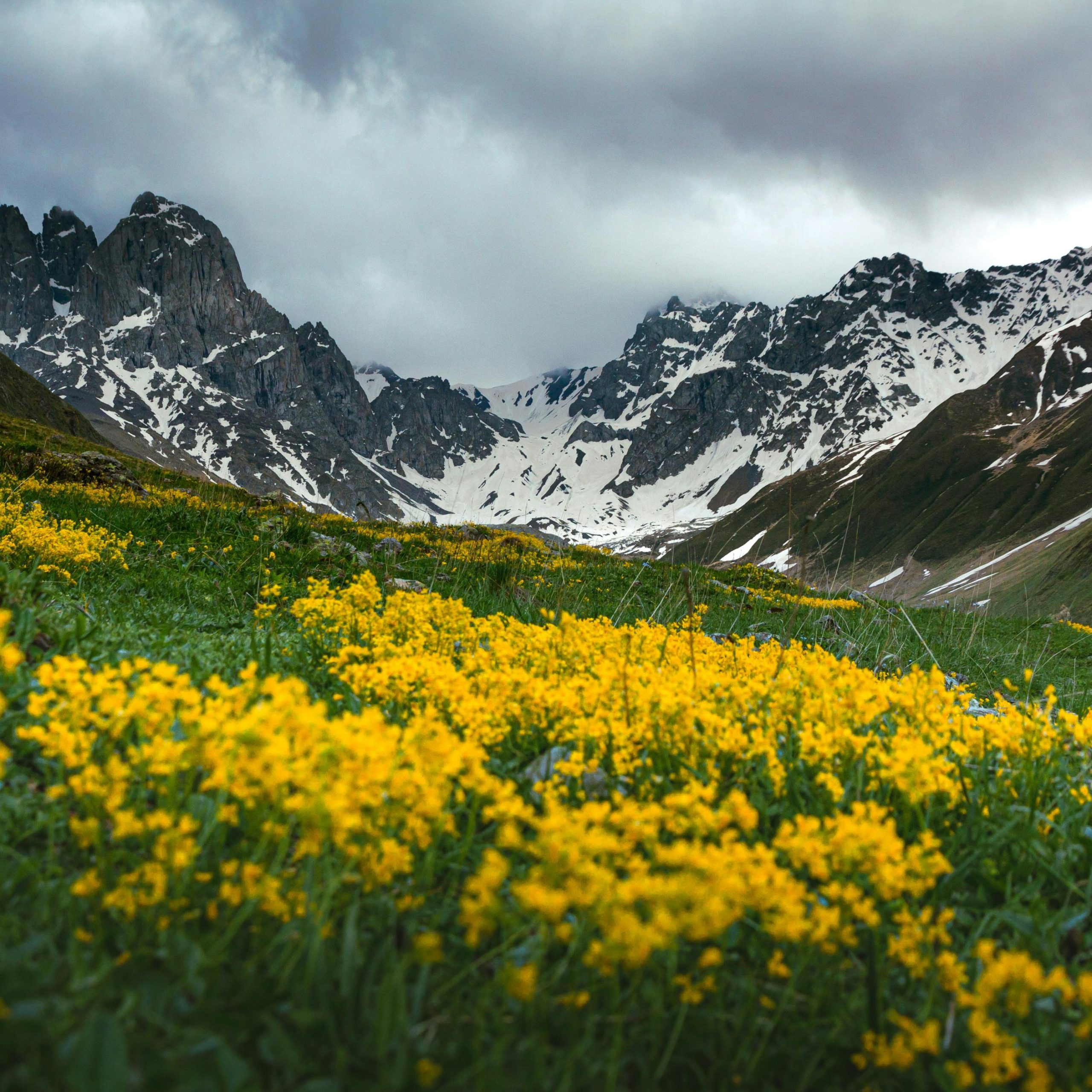 kazbegi