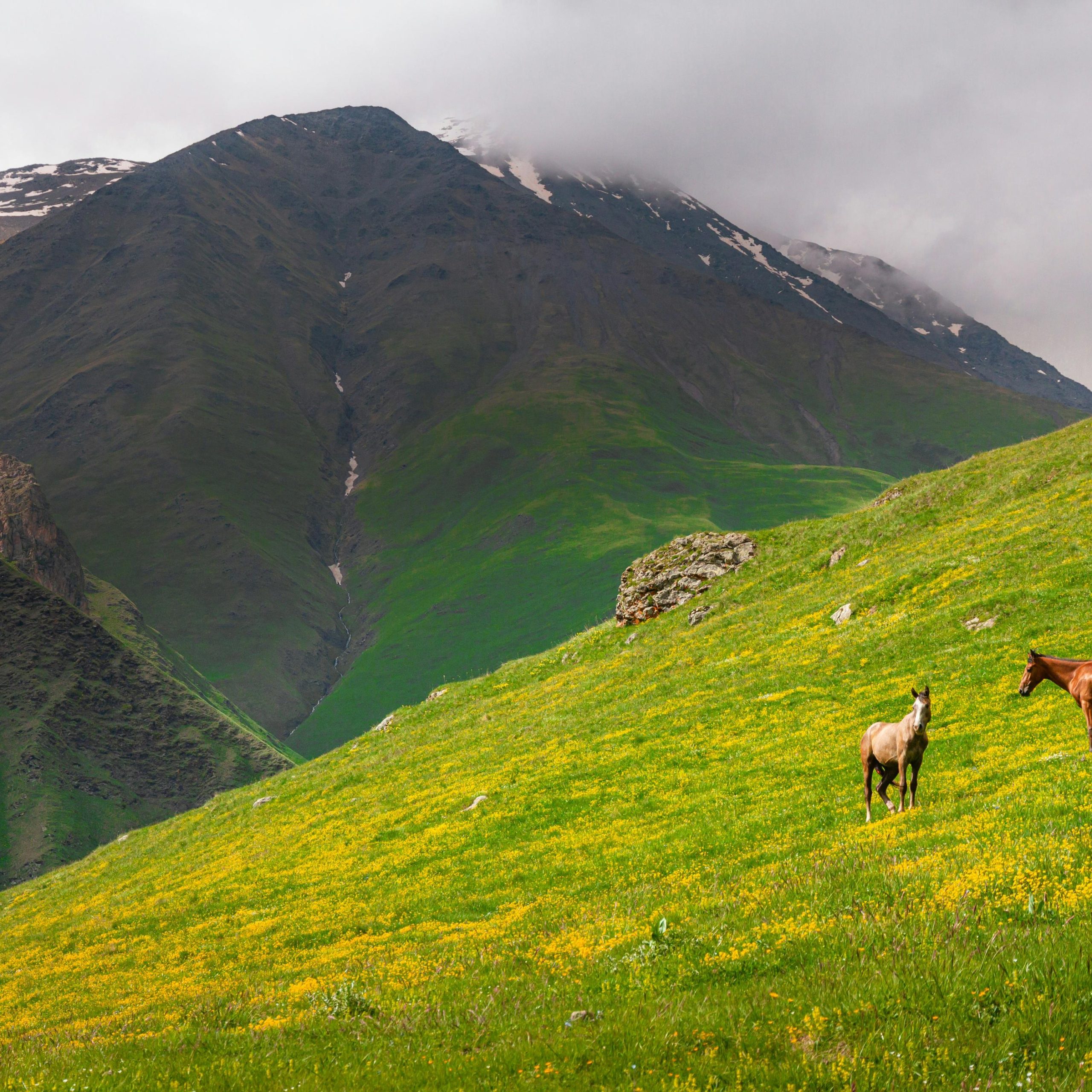 kazbegi